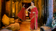 Designer Sarees - Readymade Sarees at Discount