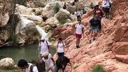 Things To Do In Salalah In Oman Tour by Salalah Adventure Tours