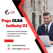 Live Pega CLSA Online Training By IT Professionals - PegaGang