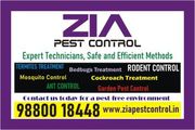 Pest control effective pest control services Anti Termite Wood Borer