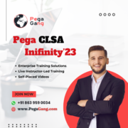 Live Pega CLSA Online Training By IT Experts – PegaGang